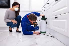 Best Real Estate Pest Inspections  in Aliso Viejo, CA